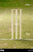 Image result for Wicket