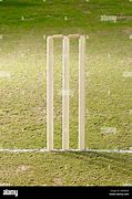 Image result for Wicket Set