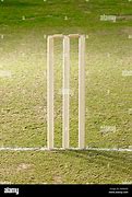 Image result for Different Wicket