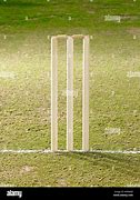 Image result for Wicket