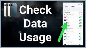 Image result for iPhone Data Usage Check