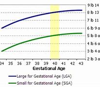 Image result for Age of Gestation Example