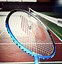 Image result for Shuttle in Badminton