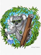 Image result for Koala Smoking