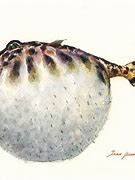 Image result for Blowfish Art