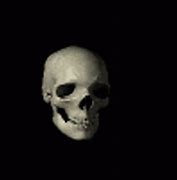 Image result for Spinning Skull Meme