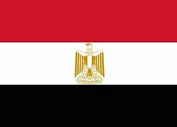 Image result for Christian Egypt Flag