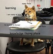 Image result for Studying Doge Meme