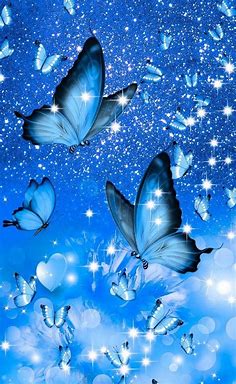 Pin by Blue💙 on Butterfly   الفراشات | Blue butterfly wallpaper, Butterfly wallpaper, Purple butterfly wallpaper