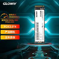 Image result for Gloway SSD