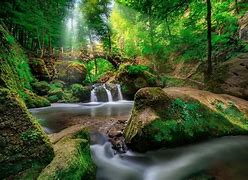Image result for Luxembourg Nature