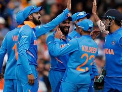 Image result for Cricket World Cup Fever