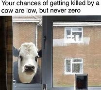 Image result for Cow Meme Anime