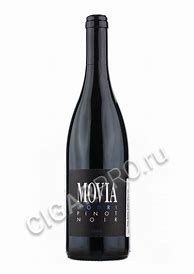 Image result for Movia Modri Pinot