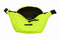 Image result for Balenciaga Fanny Pack