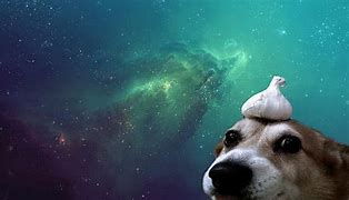 Image result for Dank Meme Background Galaxy