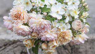 Image result for florals