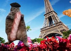 Image result for French Cat Bread Meme