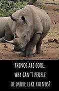 Image result for Rhino Unicorn Meme