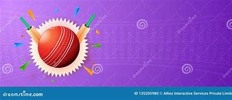 Image result for Cricket Tournament