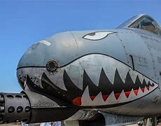 Image result for A-10 Warthog Face