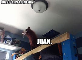 Image result for Juan Meme Guy