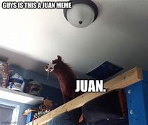 Image result for Donkey Meme Juan