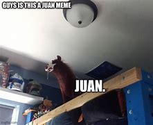 Image result for Juan Pro Meme