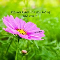 Image result for Cute Flower Quotes