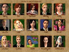 Image result for The Sims 4 Harry Potter Traits
