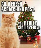 Image result for Cat Meme Take Down Santa's Village