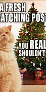 Image result for Funny Holiday Cat Memes