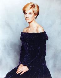 Image result for Diana portrait on display