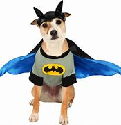 Image result for Batman Dog Pic