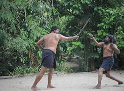 Image result for Martial Arts Colombo