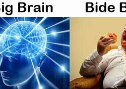 Image result for Funny Big Brain Memes