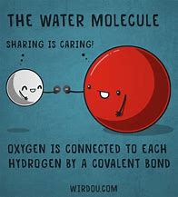 Image result for Molecular Bonds Meme