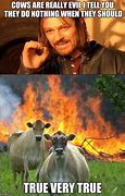 Image result for Creepy Cow Meme
