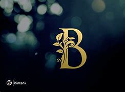 Image result for B and O Logo
