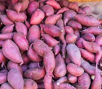 Image result for Real Yam