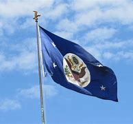 Image result for State Department Flag