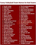Image result for Silly Volleyball Team Names