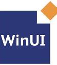 Image result for Window Title Winui 3 Icon