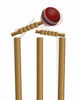 Image result for Cricket Wicket Clip Art