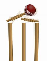 Image result for Wicket and Ball Icon