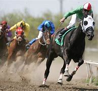 Image result for Horse Racing Phone Wallpaper