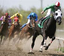Image result for Horse Racing HD Images