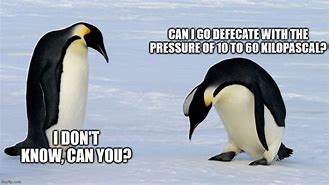 Image result for Dark Penguin Meme