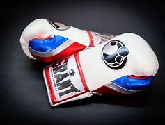 Image result for Creed World Wide Boxing Gloves