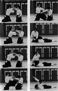 Image result for Aikido Forms